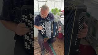 5 Row Bayan Debut, Lightweight Russian Button Accordion, 80 bass, New Straps, New case, ON SALE