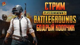 СТРИМ PUBG | СРАЖАЕМСЯ В КООПЕ | ВОЗЬМЕМ ТОП-1?