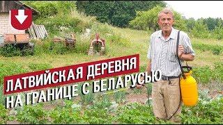 «В Норвегии 1500 евро получаю за 2 недели». Как живет латвийская деревня на границе с Беларусью