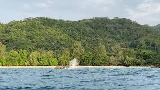 #Seychelles #LaDigue Boat drive through La Digue Island ️ and famous Anse Sévère beach ️ .