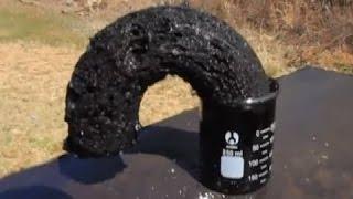 DIY-Science in Action