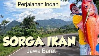 Perjalanan Indah menuju CIRATA lewat Puncak Bogor SEPI BANGET NIH !! Purwakarta dari cianjur Gadog