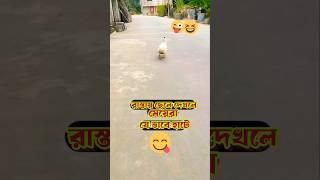 ডিস্কো ড্যান্স#funny#comedy#shorts #shortfeed #bengali