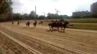 Central Moscow Hippodrome