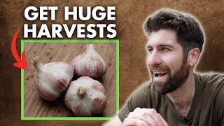 5 Years of Garlic Growing Experiments in one 14 minute Masterclass!