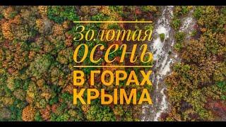 Золотая осень в Крыму. Золотые леса.