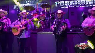 Los Poderosos De California Ft. Los Treboles De Culiacan- Lobo Guardian [En Vivo] 2024