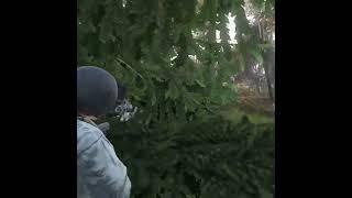 Dayz aimbot