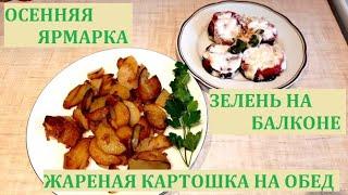 Осенняя ЯРМАРКА/ Зелень на балконе/ ЖАРЕНАЯ картошка на обед