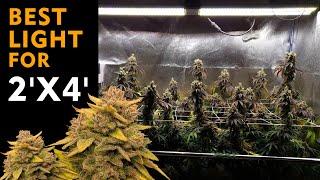 Best light for 2'x4' grow tent-Mars Hydro SP 3000 led grow light