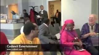 Nigeria Democracy Seminar in Sweden - NIDO 1