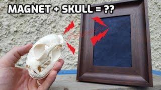 Using Magnets to Mount SKULLS!