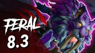 Improve Survivability and Damage as Feral Druid | 8.3 PvP Guide | How to Play Feral in BFA | WoW BFA