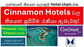 Cinnamon Hotels & Resorts 2024 Jobs | Apply Now for Top Hotel Careers in Sri Lanka