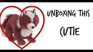 Unboxing My Red Velvet Fox! (Name Suggestions?)