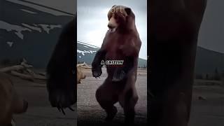 Joe Rogan reacts to Wolves hunting down a Grizzly Bear