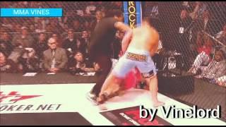 MMA VINES #22 / by Vinelord