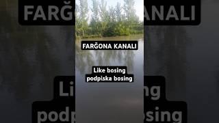 FARG'ONA KANALI