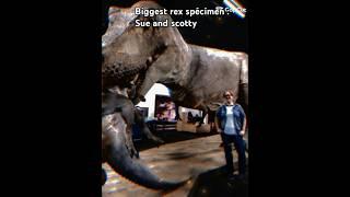 the biggest #tyrannosaurusrex : goliath #edit #paleontology #2025 #science #dinosaur #theropod