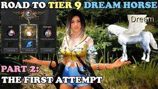 BDO - Road To Tier 9 Dream Horse Part 2: The First attempt