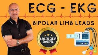 ECG |  EKG | Bipolar Limb Leads | Electrocardiography | Cardiology🫀