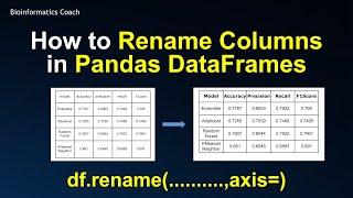 How to Rename Columns in Pandas Dataframes