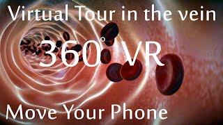 A Virtual Reality tour inside the vein 360° blood vessel medical animation #360 #vr