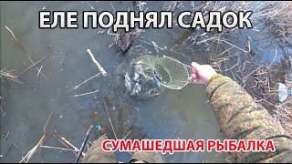 Еле поднял садок! Ловлю тарань на поплавок! Сумасшедший улов. Рыба клюёт только закинь!