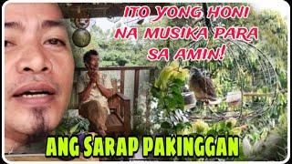 SARAP SA FELLING PAKINGGAN ANG HONI NILA.#alimokon #birds