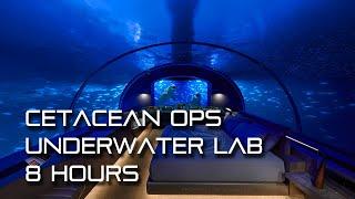  TNG Cetacean Ops  Underwater Lab Ambience (whales, water sounds, white noise)