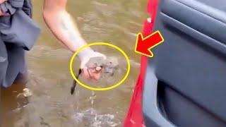 Man rescues drowning squirrel. But when he brings it home, something miraculous happens.