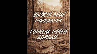 Ручное выжигание. Пейзаж Горный ручей. Домбай. Художник Надежда Крылова