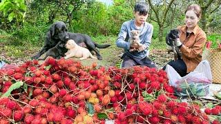 Smart Dog Finds His Puppy - Humane Action of Female Hunter | Lý Thị Hoa