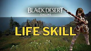 BDO Life Skill - Av & Takas | Black Desert Online @Schrutify