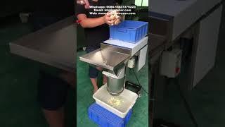 Minced Garlic Making Machine~1