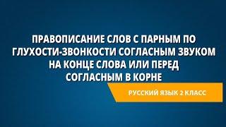 Правописание с парным по глухости-звонкости согласным звуком на конце слова или согласным в корне