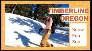 SKI and Snowboard   February 2022 Timberline Lodge Government Camp Oregon, on Mt Hood #Goexplore