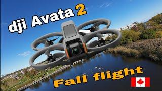 Dji Avata 2 - Fall FPV Flight in Toronto Canada