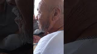 ЛУЛИЛАР ТУЙИ(2)