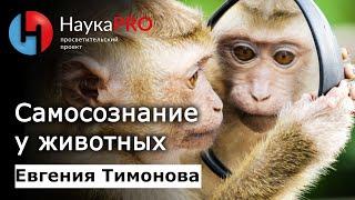 Самосознание у животных – Евгения Тимонова | Лекции по зоологии | Научпоп | НаукаPRO