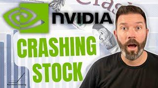 NVIDIA Stock Is CRASHING! Here Are Two Better AI Stock Picks