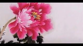 國畵牡丹--按步驟畫牡丹|모란 그림|牡丹の絵|peony painting|Цээнэ цэцгийн зураг,पेनी चित्रकला, Пион живопись guohuajifa