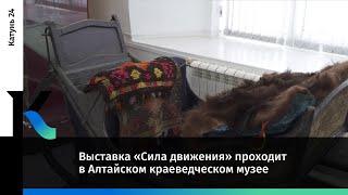 Выставка «Сила движения» проходит в Алтайском краеведческом музее