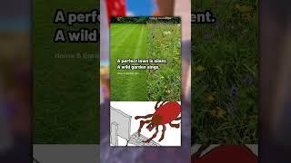 Funny Memes