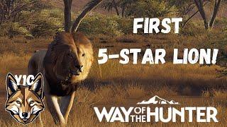 Lion Hunt and a SURPRISE! | Way of the Hunter