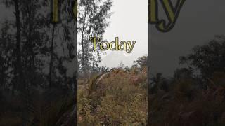 great morning  #shortvideo #youtubeshorts #greatmorning #goodday