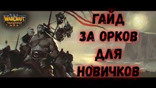 Warcraft 3  reforged | Гайд для новичков за Орду  | Орков  | Базовые механики |