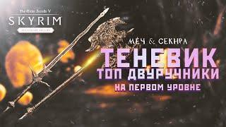 Скайрим Топовые Меч и Секира двуручные Skyrim AE на ПЕРВОМ уровне Теневик