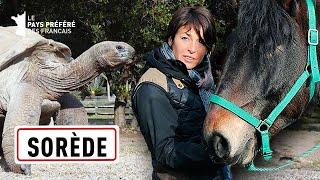 La vallée des tortues - Julie Raynaud - 1000 km à cheval - Saison 2 - EP 8  - SBS