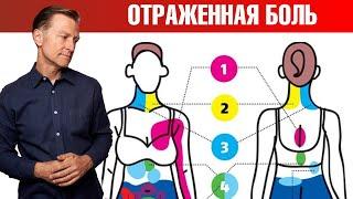 Отраженная боль  что болит на самом деле?